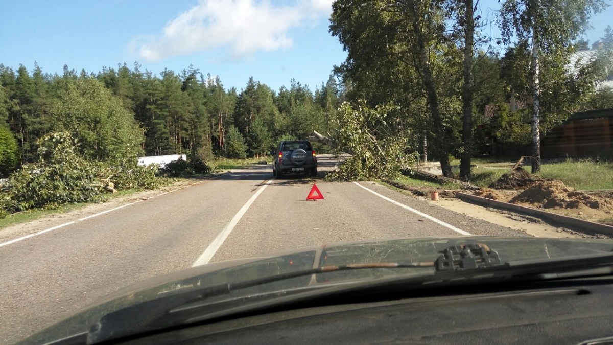 Последствия урагана 07.08,2016 (д.Анциферово)